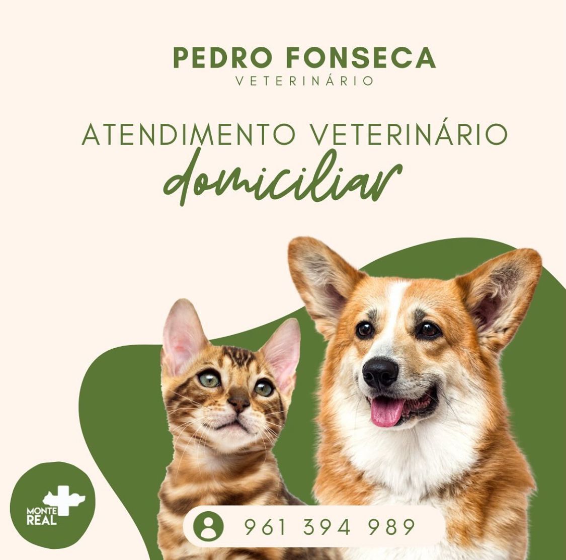 Consultório Veterinário Monte Real